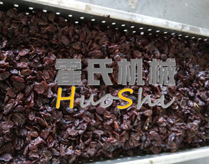 蒸女貞子、黃精體驗(yàn)